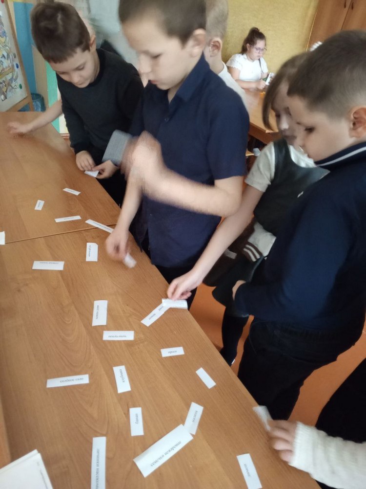 photo_2025-11-12_15-38-49